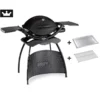 Weber Gasgrill Q 2200 Black Mit Stand Inkl. Hitzeschild Und Bratenrost
