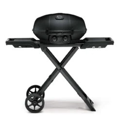 Napoleon Phantom TRAVELQ PRO285X Tragbarer Gasgrill Mattschwarz 4,1 KW 2 Brenner PRO285X-MK-PHM
