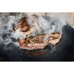 Petromax Einsatz Für Atago Grillplatte Plancha Grillrost Erweiterung Für Atago Grill 11 Petromax Einsatz Für Atago Grillplatte Plancha Grillrost Erweiterung Für Atago Grill -TerrassenLux Verkäufe 000607890000 4 1280x1280