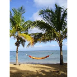 AMAZONAS XL Hängematte Barbados Papaya Tuchhängematte Liegefläche Ca. 230 X 150 Cm 12 AMAZONAS XL Hängematte Barbados Papaya Tuchhängematte Liegefläche Ca. 230 X 150 Cm -TerrassenLux Verkäufe 000609760000 4 1280x1280