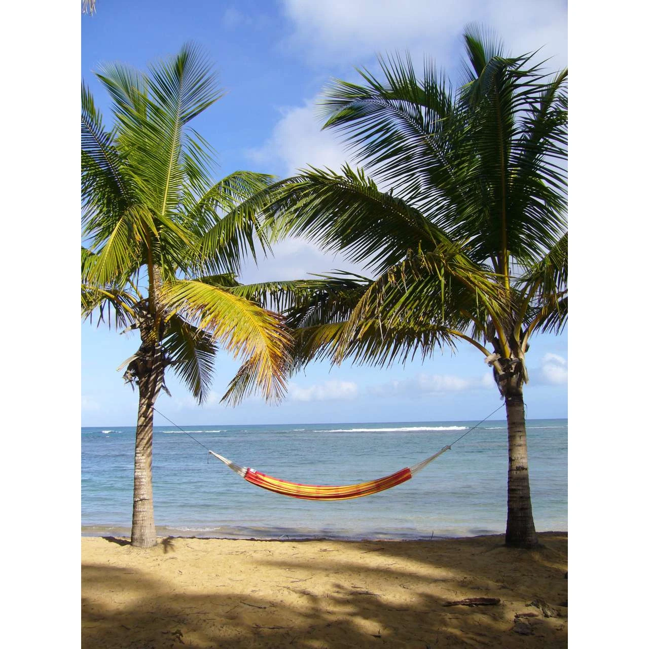 AMAZONAS XL Hängematte Barbados Papaya Tuchhängematte Liegefläche Ca. 230 X 150 Cm 5 AMAZONAS XL Hängematte Barbados Papaya Tuchhängematte Liegefläche Ca. 230 X 150 Cm – Bild 5